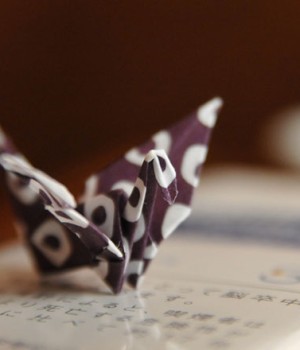 Lorum ipsum dolor sit amet